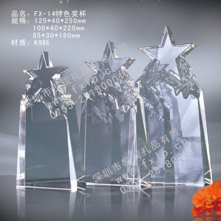 FX-14特色奖杯 奖杯制作,北京奖杯制作,水晶奖杯制作,北京水晶奖杯设计,北京水晶奖杯哪里好
