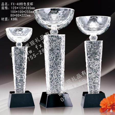 FX-40特色奖杯 奖杯,荣誉奖杯,水晶奖杯,上海奖杯,上海水晶奖杯