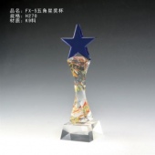 FX-5五星奖杯