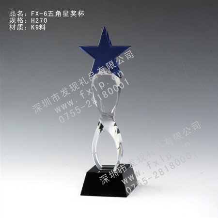 FX-6五星奖杯 奖杯,水晶奖杯,广州水晶奖杯,广州水晶奖杯制作,广州水晶奖杯哪里好