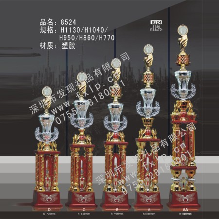 会议奖品8524豪华型奖杯 梅州奖杯制作,梅州塑胶奖杯,梅州水晶奖杯,梅州水晶奖牌,梅州水晶礼品