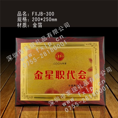 FXJB-300 南昌奖牌制作, 南昌水晶奖杯, 南昌水晶奖牌, 南昌水晶内雕, 南昌水晶工艺品 