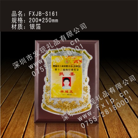 先进个人奖牌FXJB-S161 东莞奖杯制作,东莞水晶奖杯,东莞奖牌,东莞砂金奖牌,东莞礼品