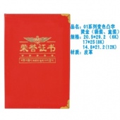 01系列变色凸字烫金（1）