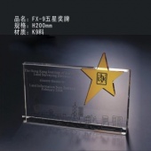 FX-9五星奖牌