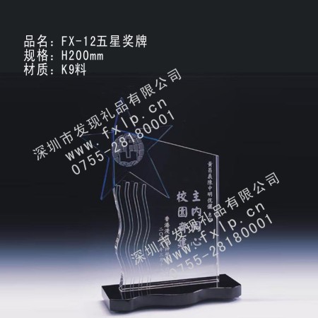 FX-12五星奖牌 