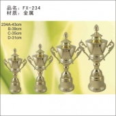FX-234金属奖杯