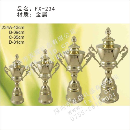 FX-234金属奖杯 