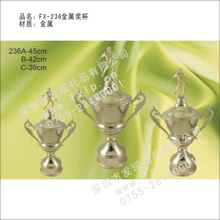 FX-236金属奖杯 