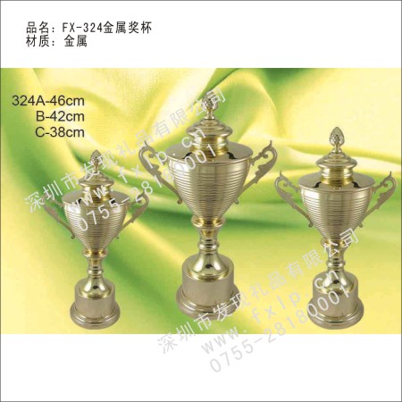 FX-324金属奖杯 