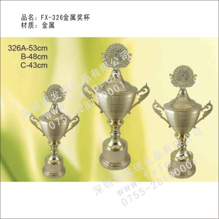 FX-326金属奖杯 