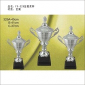 FX-329金属奖杯