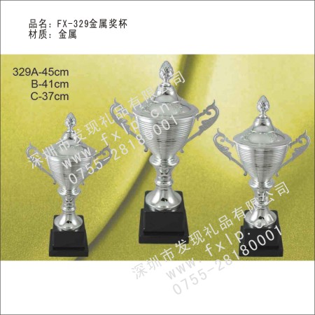 FX-329金属奖杯 