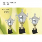 FX-677金属奖杯