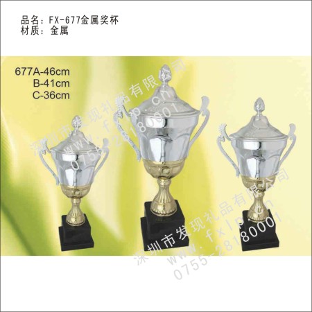 FX-677金属奖杯 