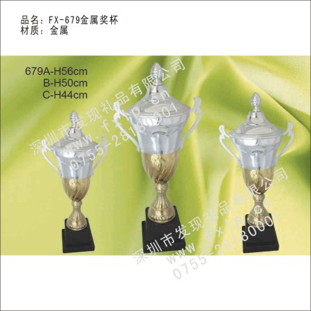 FX-679金属奖杯 