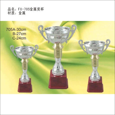 FX-705金属奖杯 