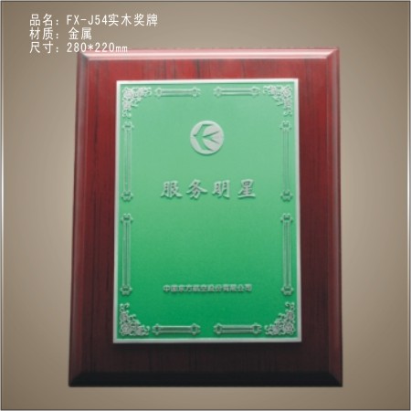 FX-J54实木奖牌 