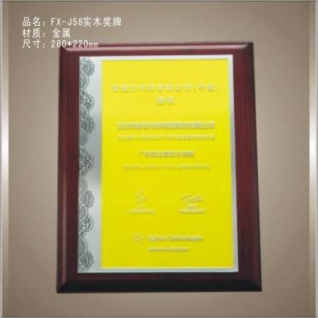FX-J58实木奖牌 