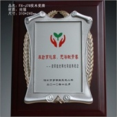 FX-J78实木奖牌