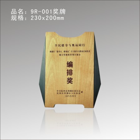 9R-001奖牌 