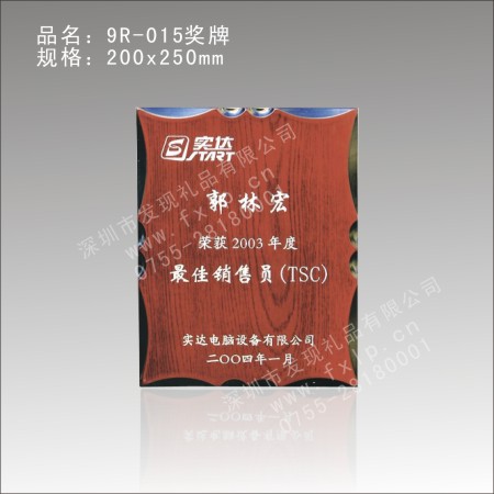 9R-015奖牌 