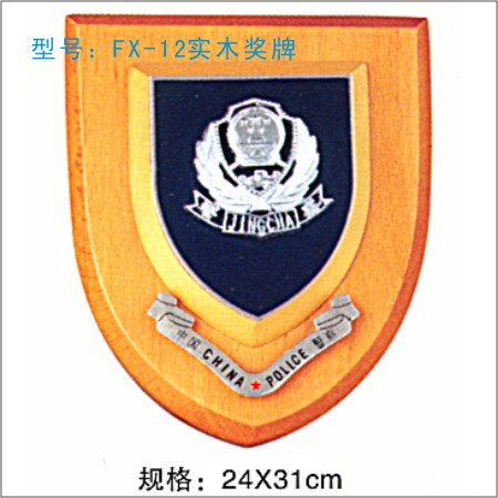 FX-12奖牌 