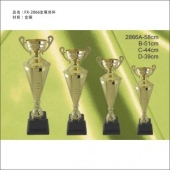 FX-2866金属奖杯