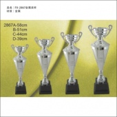 FX-2867金属奖杯