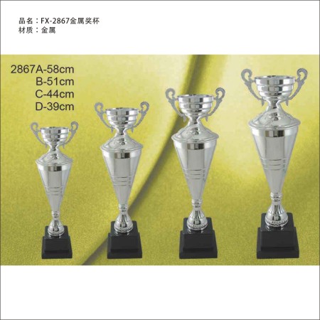 FX-2867金属奖杯 