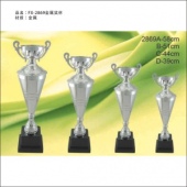 FX-2869金属奖杯