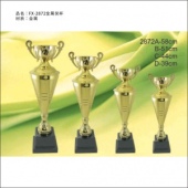 FX-2872金属奖杯