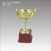 FX-FP630金属奖杯