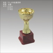 FX-JY05金属奖杯