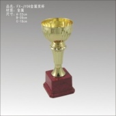 FX-JY06金属奖杯