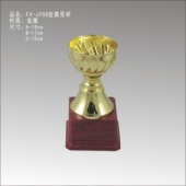 FX-JY08金属奖杯