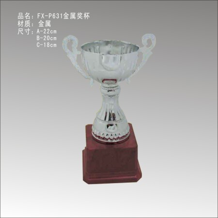 FX-P631金属奖杯 
