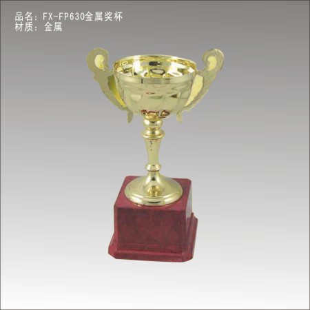 FX-P630金属奖杯 