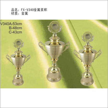FX-V340金属奖杯 