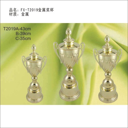 FX-T2019金属奖杯 