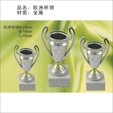 欧洲杯银 