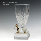 FX-02新水晶奖杯