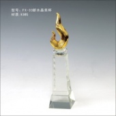 FX-33新水晶奖杯