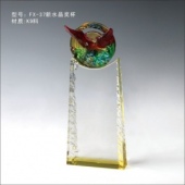 FX-37新水晶奖杯