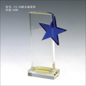 FX-38新水晶奖杯