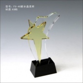 FX-40新水晶奖杯