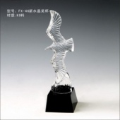FX-46新水晶奖杯