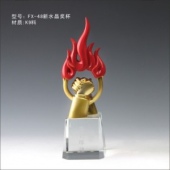 FX-48新水晶奖杯