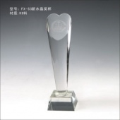 FX-53新水晶奖杯