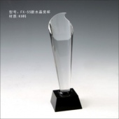 FX-55新水晶奖杯